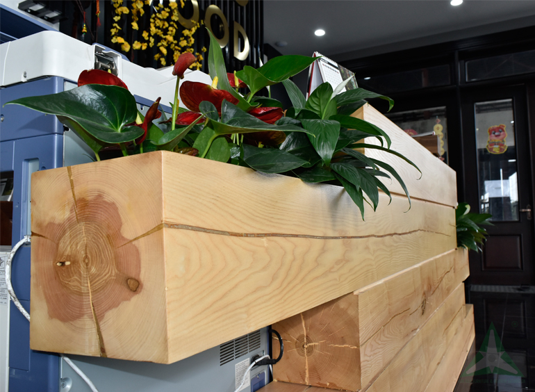 Trang trí nội thất văn phòng
