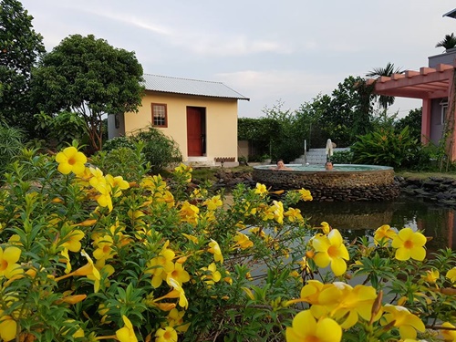 KTS Vũ Quang Định (Công ty Kiến trúc ASPACE) cho biết cô Tâm mong muốn việc thiết kế sẽ làm tổng thể, còn xây dựng sẽ đầu tư theo giai đoạn để chuẩn bị tài chính dần dần. Cô cũng muốn chính tay mình thi công theo tư vấn thiết kế ban đầu.